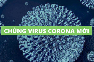 Thông báo của UBND thành phố Hà Nội về việc cho nghỉ học do dịch bệnh viêm đường hô hấp cấp cho chủng mới